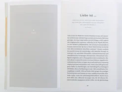 Beltz Verlagsgruppe Beziehungen & Sexualität-Lebenskompliz*innen