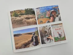 Piper Verlag GmbH Wirtschaft|Wirtschaft*Leichtes Herz und schwere Beine