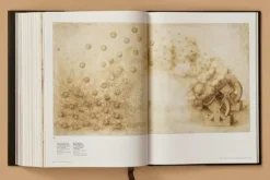 Leonardo. Sämtliche Gemälde und Zeichnungen*Taschen GmbH Sale
