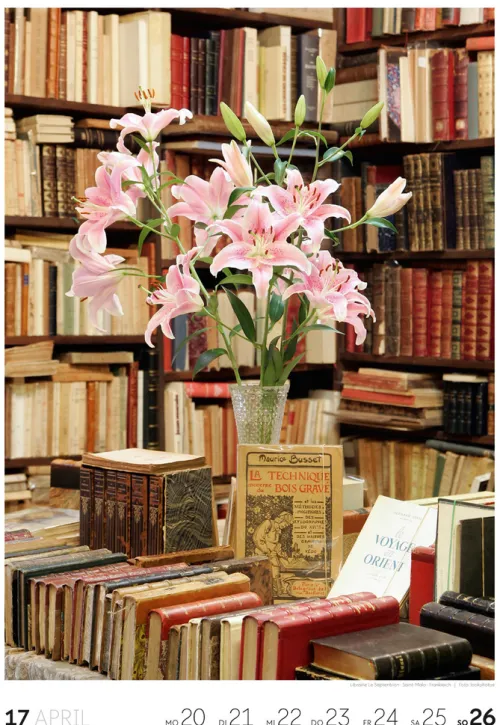 Ackermann Kunstverlag Wochenkalender-Lesen Wochenkalender 2026