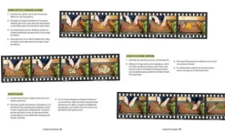 Edition Michael Fischer Grundkochbücher & Lexika-Let's Cook mit Julian -Einfach lecker kochen!