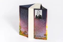 Leuchtturmtänze*Heyne Taschenbuch Sale