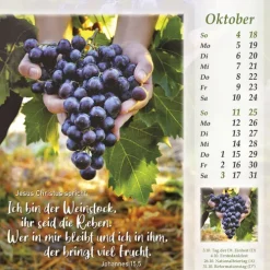 Kawohl Postkartenkalender*Licht vom unerschöpften Lichte 2026