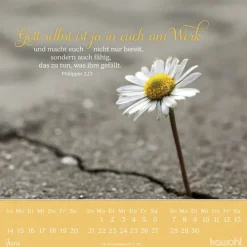 Lieblingsworte für dich 2026*Kawohl