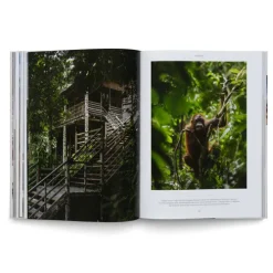 Gestalten Automobile-Life on the Road