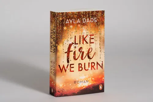 Penguin TB Verlag Romane & Erzählungen|Liebesromane-Like Fire We Burn