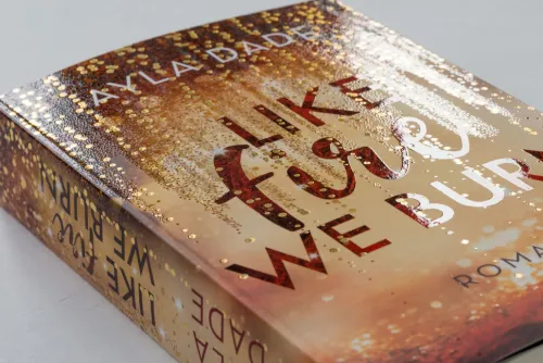 Penguin TB Verlag Romane & Erzählungen|Liebesromane-Like Fire We Burn