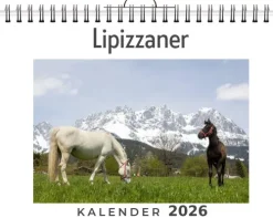 Lipizzaner*FlipFlop Best