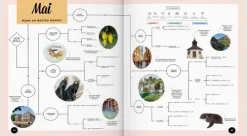 LONELY PLANET Bildband Wann am besten wohin Europa*Mairdumont Clearance