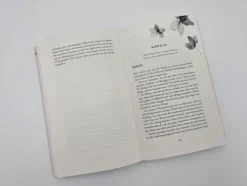 Piper Verlag GmbH Romantic Comedy*Love at Second Sight