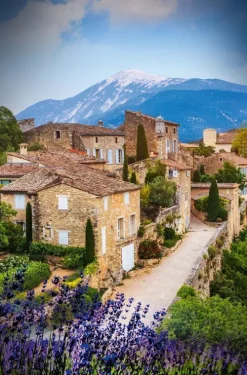 Knaur Taschenbuch Krimis & Thriller|Weibliche Ermittler*Madame le Commissaire und die tödliche Rallye