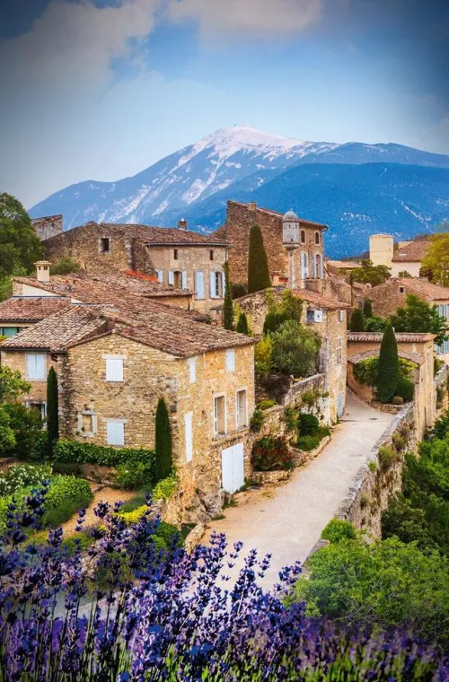 Knaur Taschenbuch Krimis & Thriller|Weibliche Ermittler*Madame le Commissaire und die tödliche Rallye