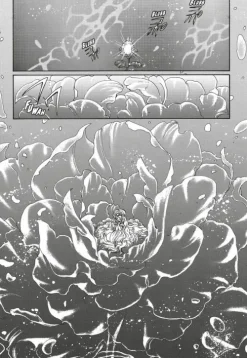 Carlsen Verlag GmbH Action & Abenteuer|Für Mädchen - Shojo-Magic Knight Rayearth Premium Collection 1