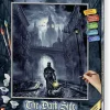 Malen nach Zahlen - The Dark Side*Noris Spiele GmbH Discount