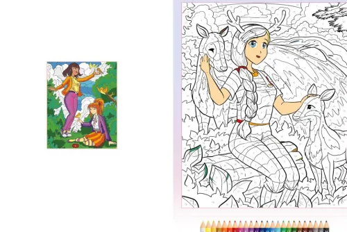 Schwager und Steinlein Artbooks & Handbücher-Malen nach Zahlen Manga