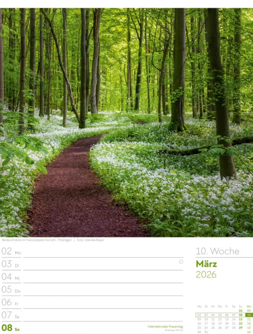 Ackermann Kunstverlag Wochenkalender*Malerisches Deutschland Wochenplaner Kalender 2026