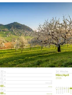 Ackermann Kunstverlag Wochenkalender*Malerisches Deutschland Wochenplaner Kalender 2026