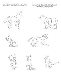 Heel Verlag GmbH Artbooks & Handbücher-Mangas zeichnen!