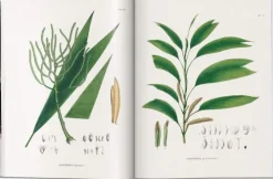 Martius. The Book of Palms*Taschen GmbH Online