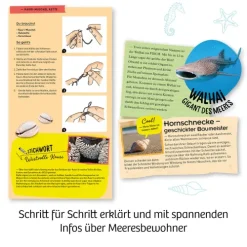 Franckh-Kosmos Forschen & Entdecken-Meeres-Abenteuer