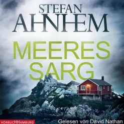 Hörbuch Hamburg Krimis & Thriller·Krimi Klassiker*Meeressarg (Ein Fabian-Risk-Krimi 6)
