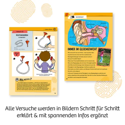 Mein erster Experimentierkasten - Körper & Sinne*Franckh-Kosmos Discount