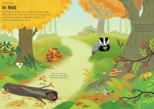 Usborne Verlag Stickerhefte-Mein Immer-wieder-Stickerbuch: Tiere der Welt