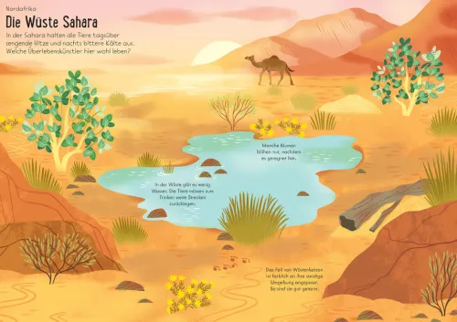 Usborne Verlag Stickerhefte-Mein Immer-wieder-Stickerbuch: Tiere der Welt