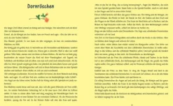 Kinder Anaconda Verlag Für Babys Und Kinder-Mein Märchenkochbuch