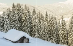 Servus Weihnachten Kochen & Backen*Mein Weihnachten