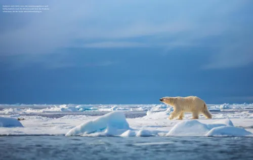 Polyglott Verlag Business & Karriere-Meine Arktis