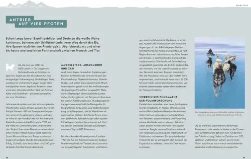 Polyglott Verlag Business & Karriere-Meine Arktis