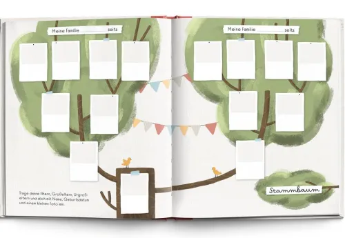 Brunnen-Verlag GmbH Freundebücher*Meine Familie in einem Buch