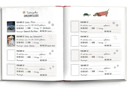 Brunnen-Verlag GmbH Freundebücher*Meine Familie in einem Buch