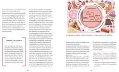 Graefe und Unzer Verlag Gesundheit-Meine Gesundheitsretter aus der Natur gegen Bauchfett