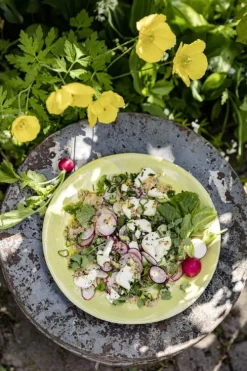 AT Verlag Kochbücher Nach Zutaten*Meine grüne französische Bistro-Küche