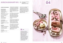 Dr. Oetker Verlag Desserts-Meine Lieblingsrezepte: Eis, Parfait & Sorbet