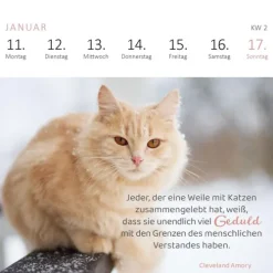 Ars Edition GmbH Geburtstagskalender-Mini-Wochenkalender Katzenweisheiten 2027