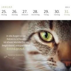 Ars Edition GmbH Geburtstagskalender-Mini-Wochenkalender Katzenweisheiten 2027