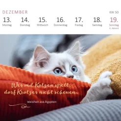 Ars Edition GmbH Geburtstagskalender-Mini-Wochenkalender Katzenweisheiten 2027