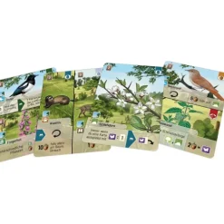 Mischwald - Waldrand*Asmodee gmbH Discount