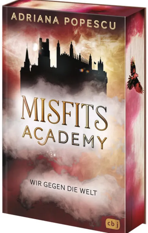cbj Lgbtqia+ Jugendbücher*Misfits Academy - Wir gegen die Welt