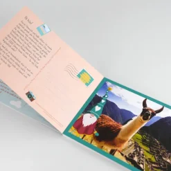 riva Verlag Postkarten*Mit dem Wichtel durchs Jahr