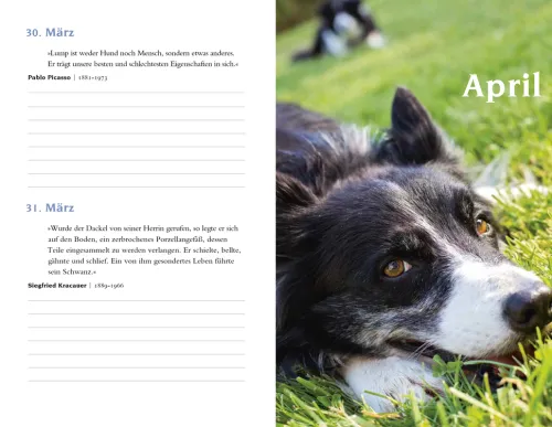 Insel Verlag GmbH Geburtstagskalender-Mit Hunden durch das Jahr