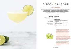 Mocktail Party*Suedwest Verlag Online