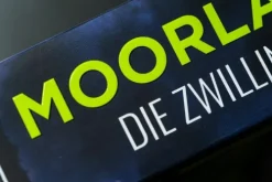 Knaur Taschenbuch Krimis & Thriller|Psychothriller*Moorland. Die Zwillinge