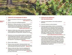 Haupt Verlag AG Biologie*Moose des Waldbodens