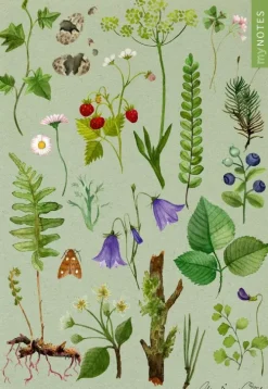 Ars Edition GmbH Notizbücher & -Blöcke-myNOTES Papeterie: Notizheft Naturschätze