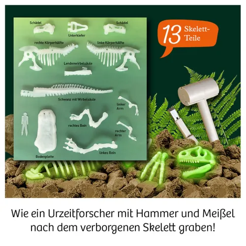 Franckh-Kosmos Forschen & Entdecken-Nachtleuchtender T-REX