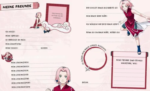 Naruto: Mein ninjastarkes Freundebuch*Nelson Verlag Clearance